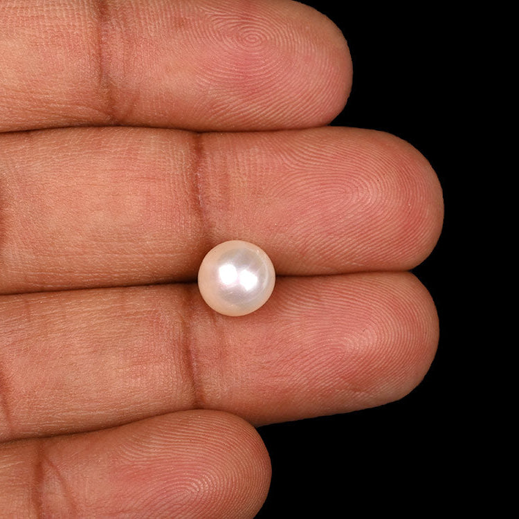 NATURAL SOUT SEA PEARL || 15.50 CARATE || LAB CERTIFIED