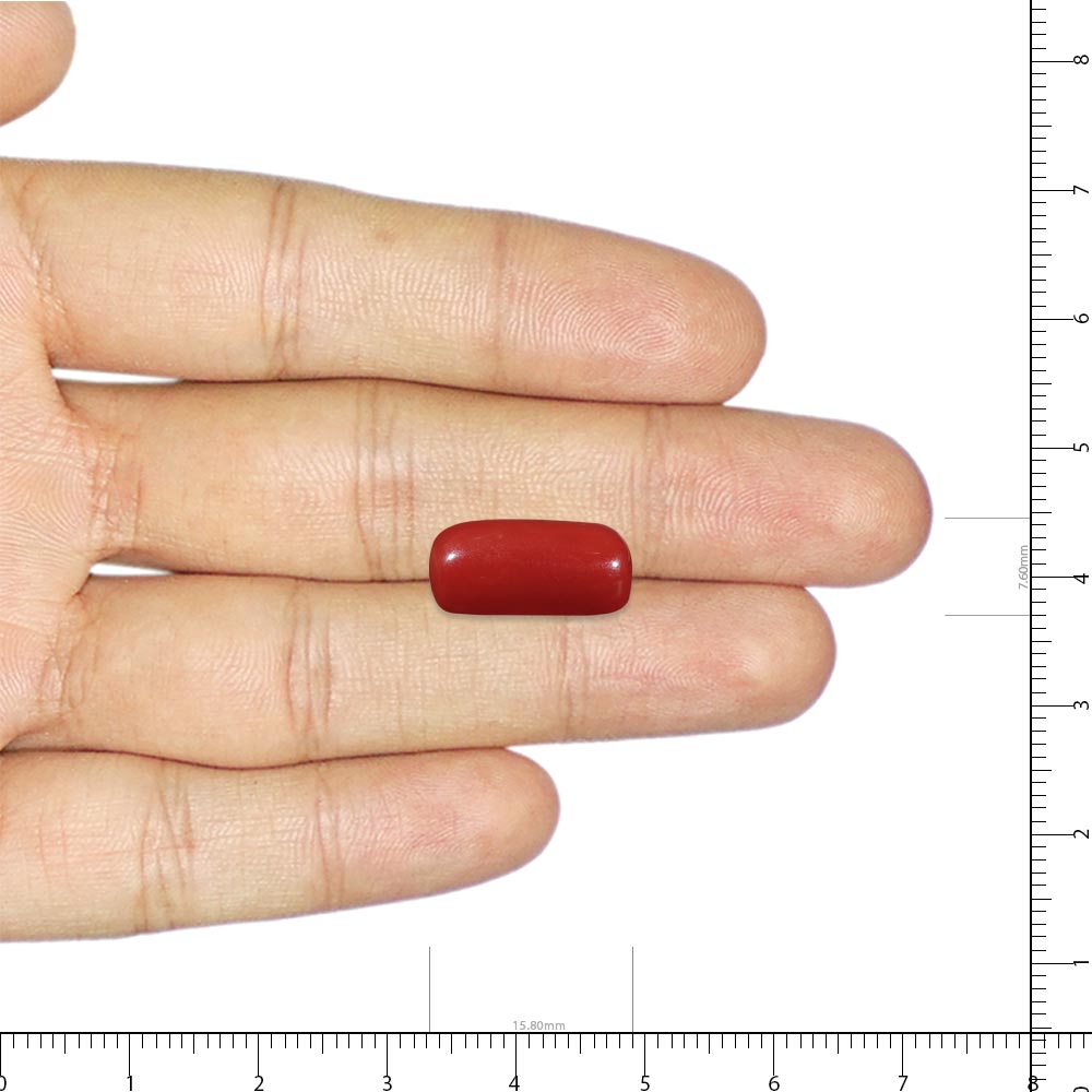 NATURAL RED CORAL(MOONGA) - 8.00 RATTI