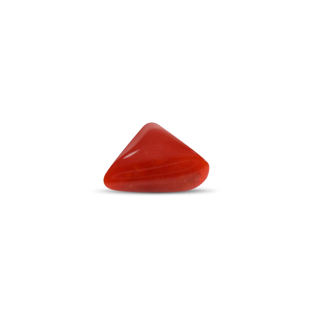NATURAL RED CORAL(TRIANGLE MOONGA) - 9.25 RATTI