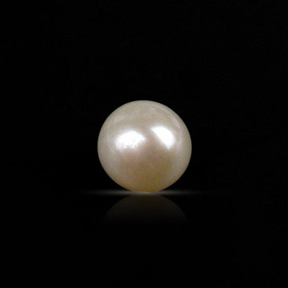 NATURAL SOUT SEA PEARL || 10.25 CARATE || LAB CERTIFIED