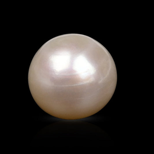 NATURAL SOUT SEA PEARL || 15.50 CARATE || LAB CERTIFIED
