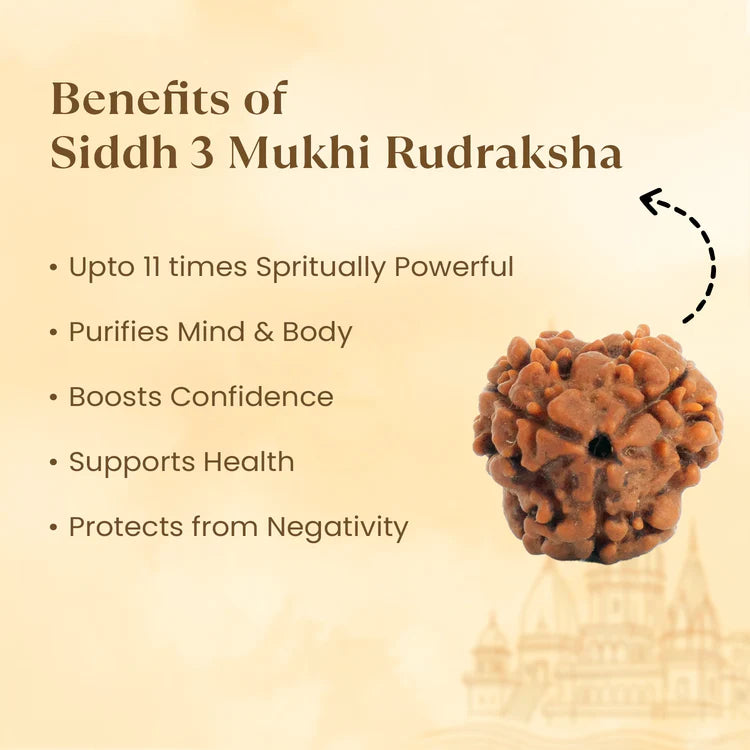 NATURAL 3 MUKHI RUDRAKSHA