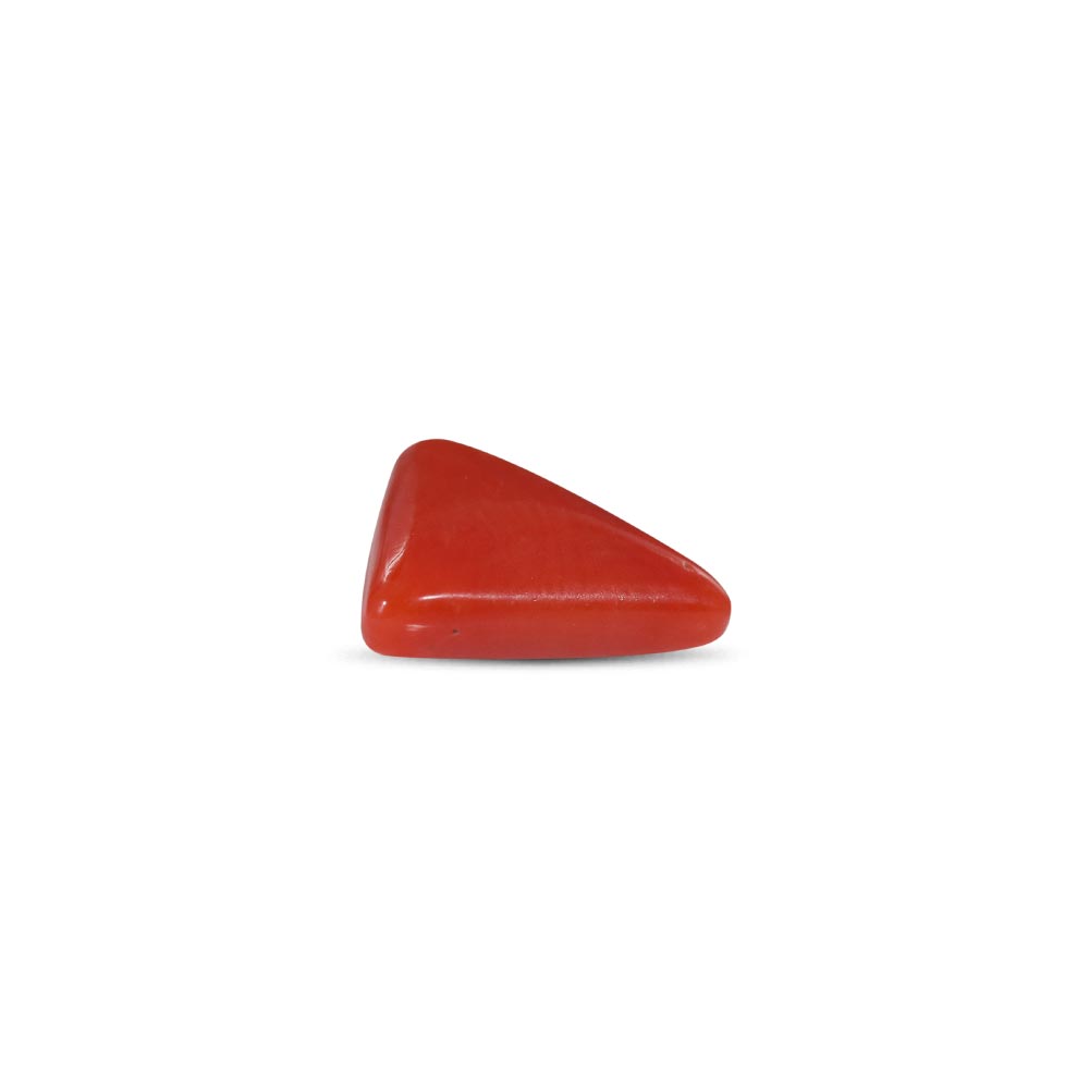 NATURAL RED CORAL(TRIANGLE MOONGA) - 4.00 RATTI