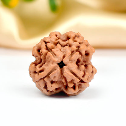 NATURAL 4 MUKHI RUDRAKSHA