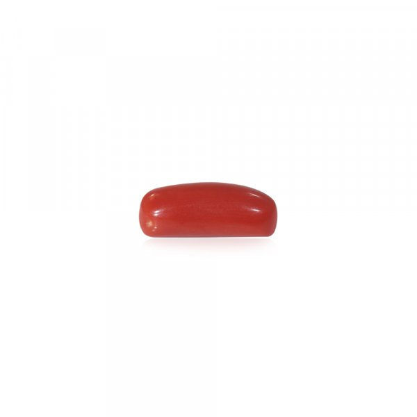 NATURAL RED CORAL(MOONGA) - 6.40 RATTI