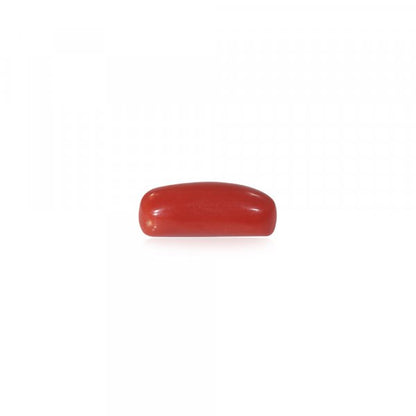 NATURAL RED CORAL(MOONGA) - 6.40 RATTI