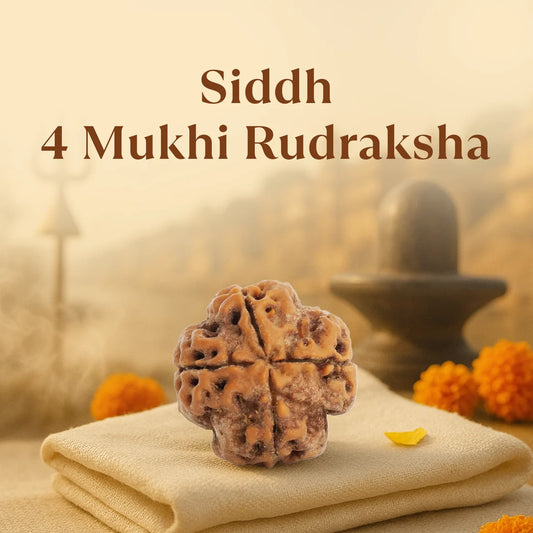 NATURAL 4 MUKHI RUDRAKSHA