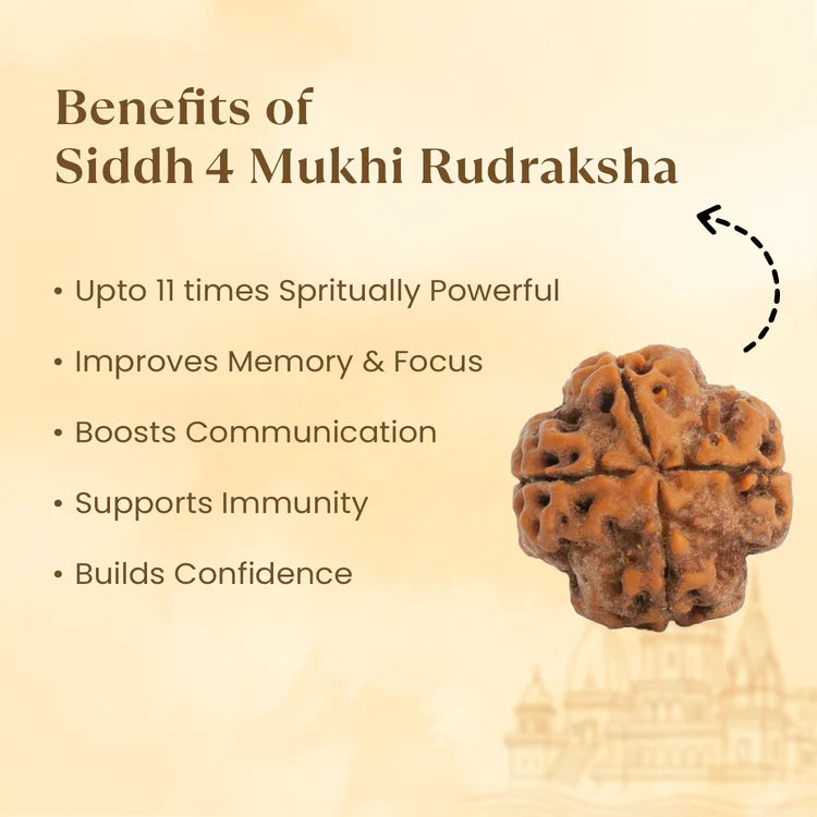 NATURAL 4 MUKHI RUDRAKSHA