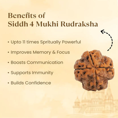 NATURAL 4 MUKHI RUDRAKSHA