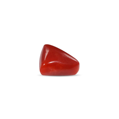 NATURAL RED CORAL(TRIANGLE MOONGA) - 5.25 RATTI