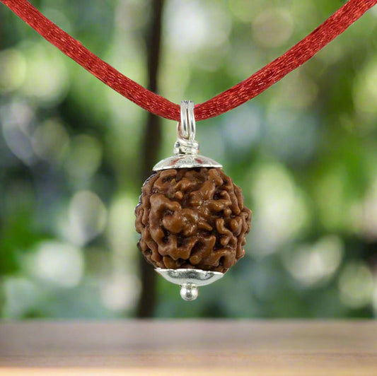 5 Mukhi Rudraksha Pendant | Nepal Origin