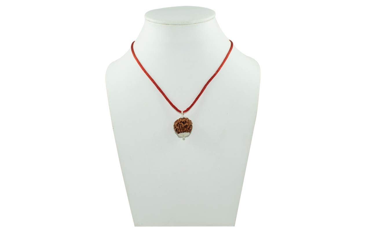 5 Mukhi Rudraksha Pendant | Nepal Origin