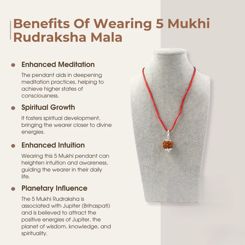 5 Mukhi Rudraksha Pendant | Nepal Origin