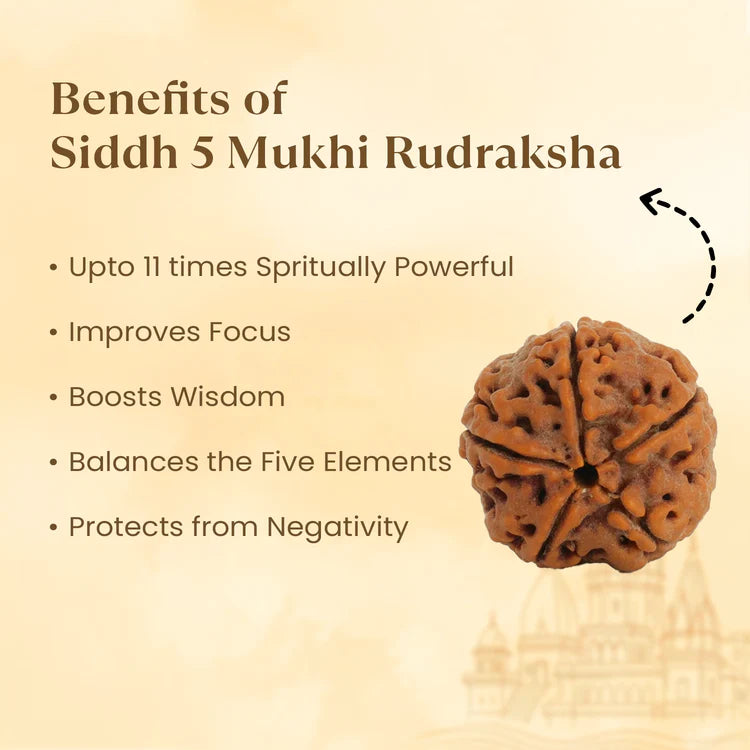 NATURAL 5 MUKHI RUDRAKSHA