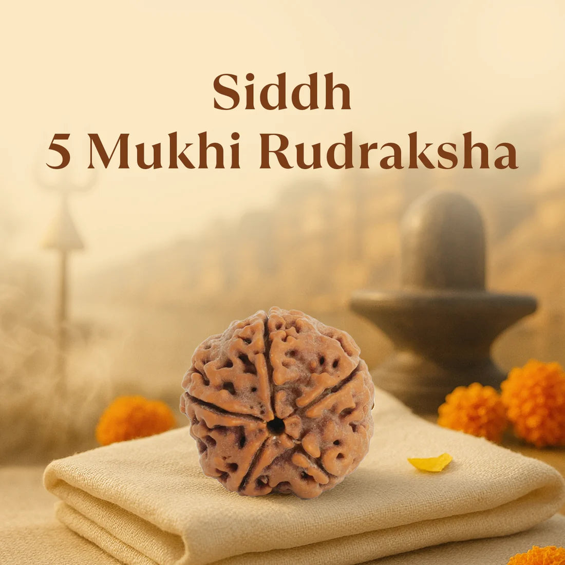 NATURAL 5 MUKHI RUDRAKSHA