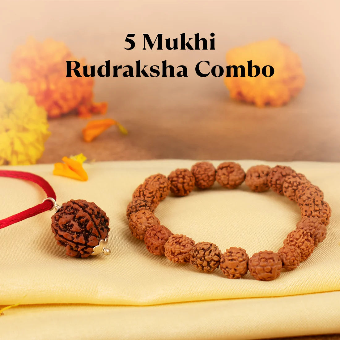 5 MUKHI RUDRAKSHA COMBO PACK