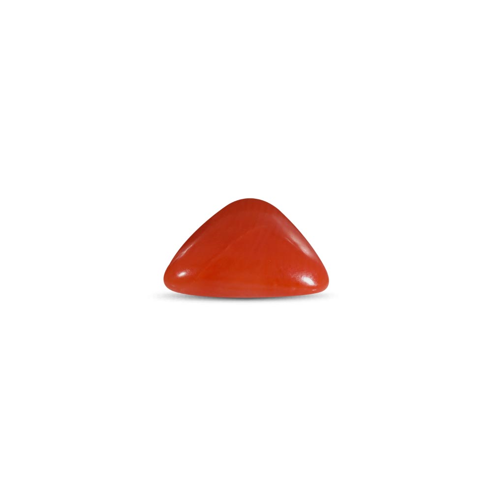 NATURAL RED CORAL(TRIANGLE MOONGA) - 6.00 RATTI