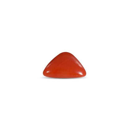 NATURAL RED CORAL(TRIANGLE MOONGA) - 6.00 RATTI