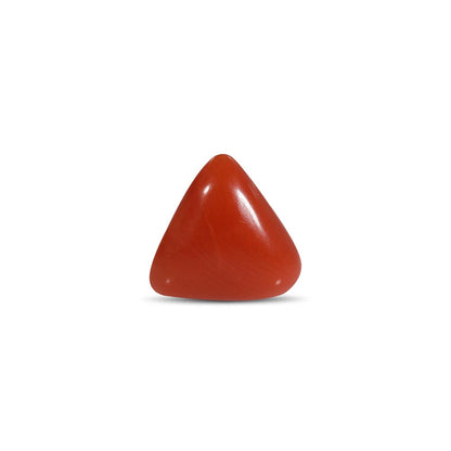 NATURAL RED CORAL(TRIANGLE MOONGA) - 6.00 RATTI