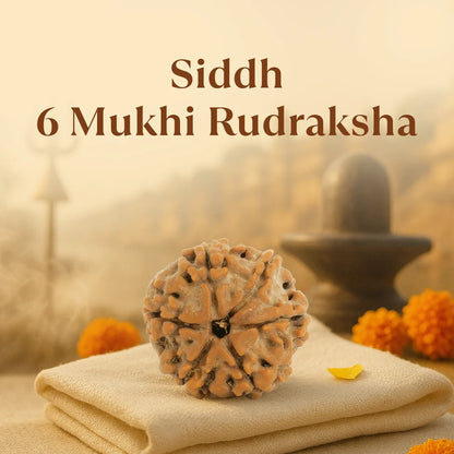 NATURAL 6 MUKHI RUDRAKSHA