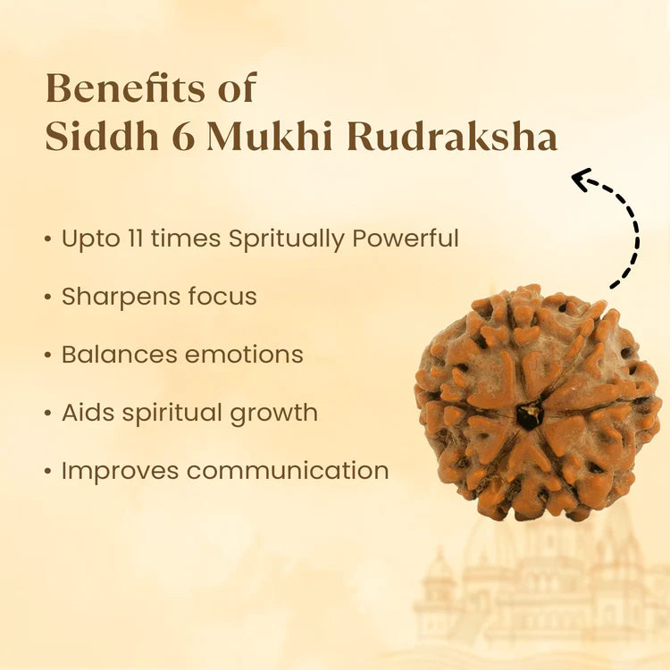 NATURAL 6 MUKHI RUDRAKSHA