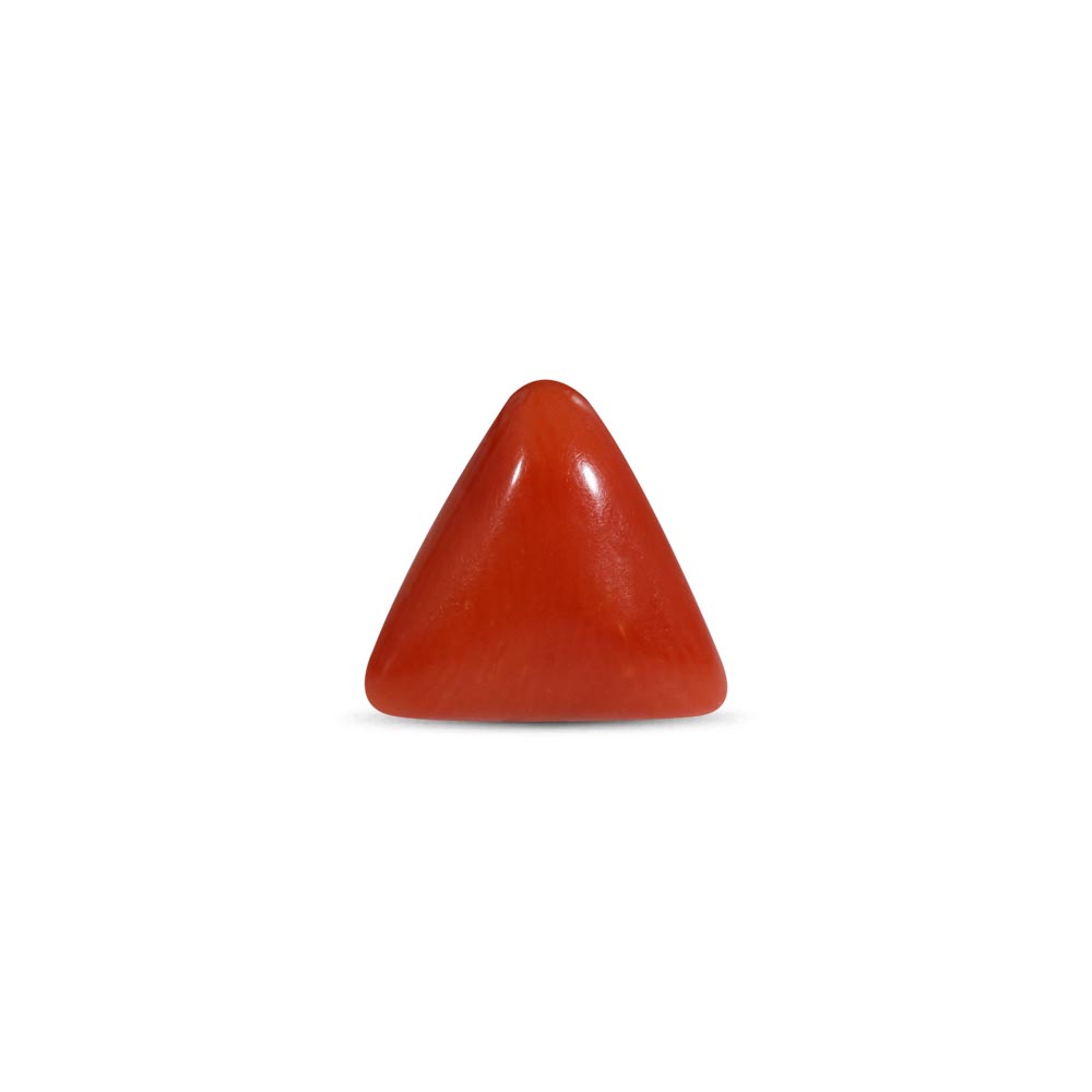 NATURAL RED CORAL(TRIANGLE MOONGA) - 7.25 RATTI