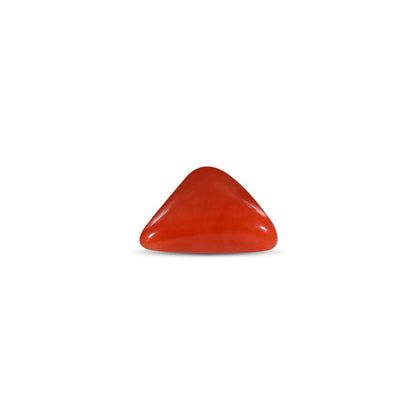 NATURAL RED CORAL(TRIANGLE MOONGA) - 7.25 RATTI