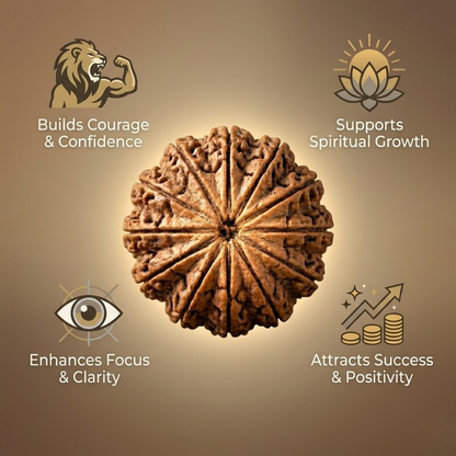 Buy 12 Mukhi Nepali Rudraksha for courage, spiritual growth and success.