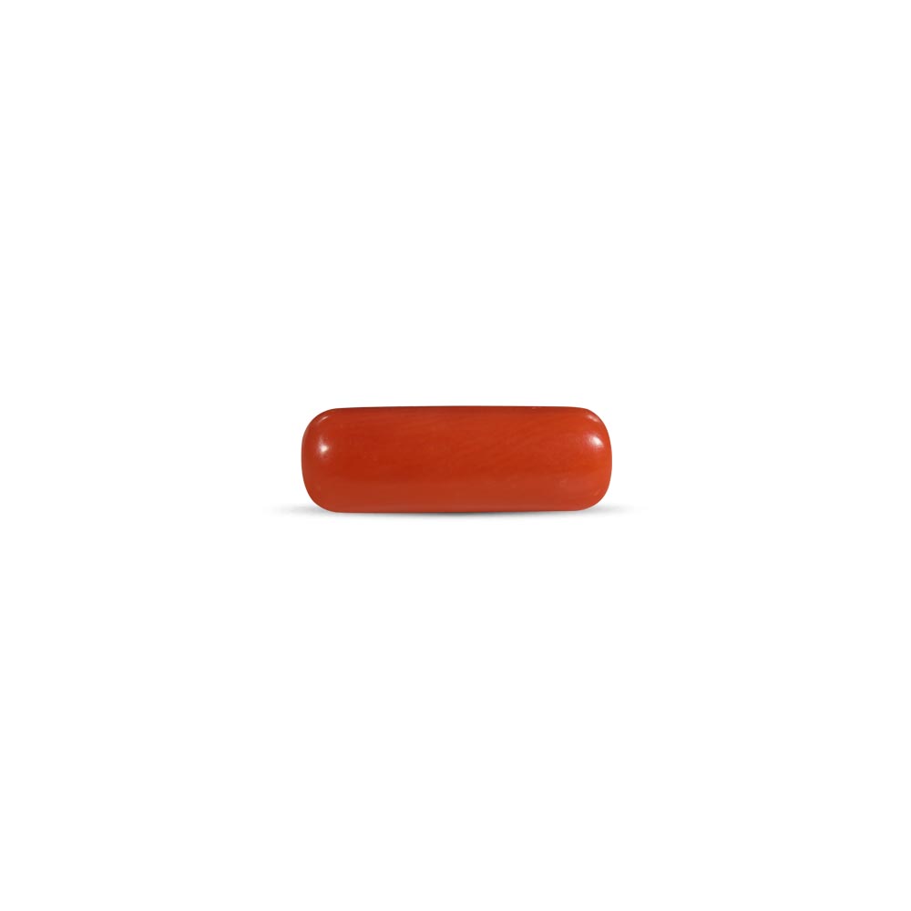 NATURAL RED CORAL (MOONGA) - 7.00 RATTI