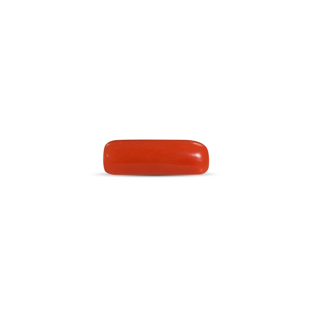 NATURAL RED CORAL (MOONGA) - 7.00 RATTI