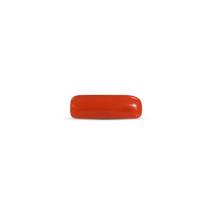 NATURAL RED CORAL (MOONGA) - 7.00 RATTI
