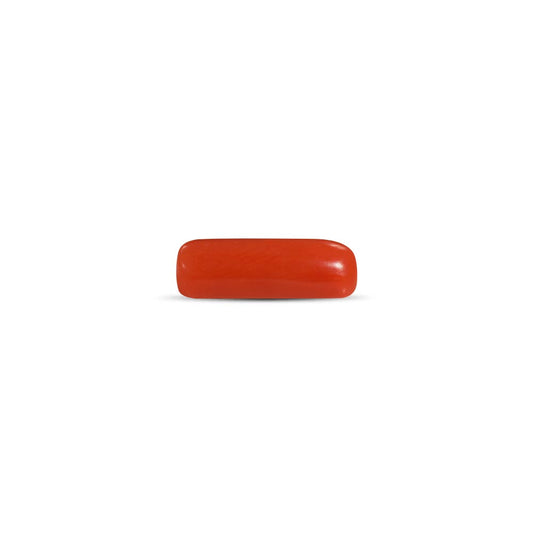 NATURAL RED CORAL (MOONGA) - 7.00 RATTI
