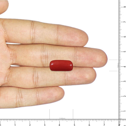 NATURAL RED CORAL(MOONGA) - 8.00 RATTI