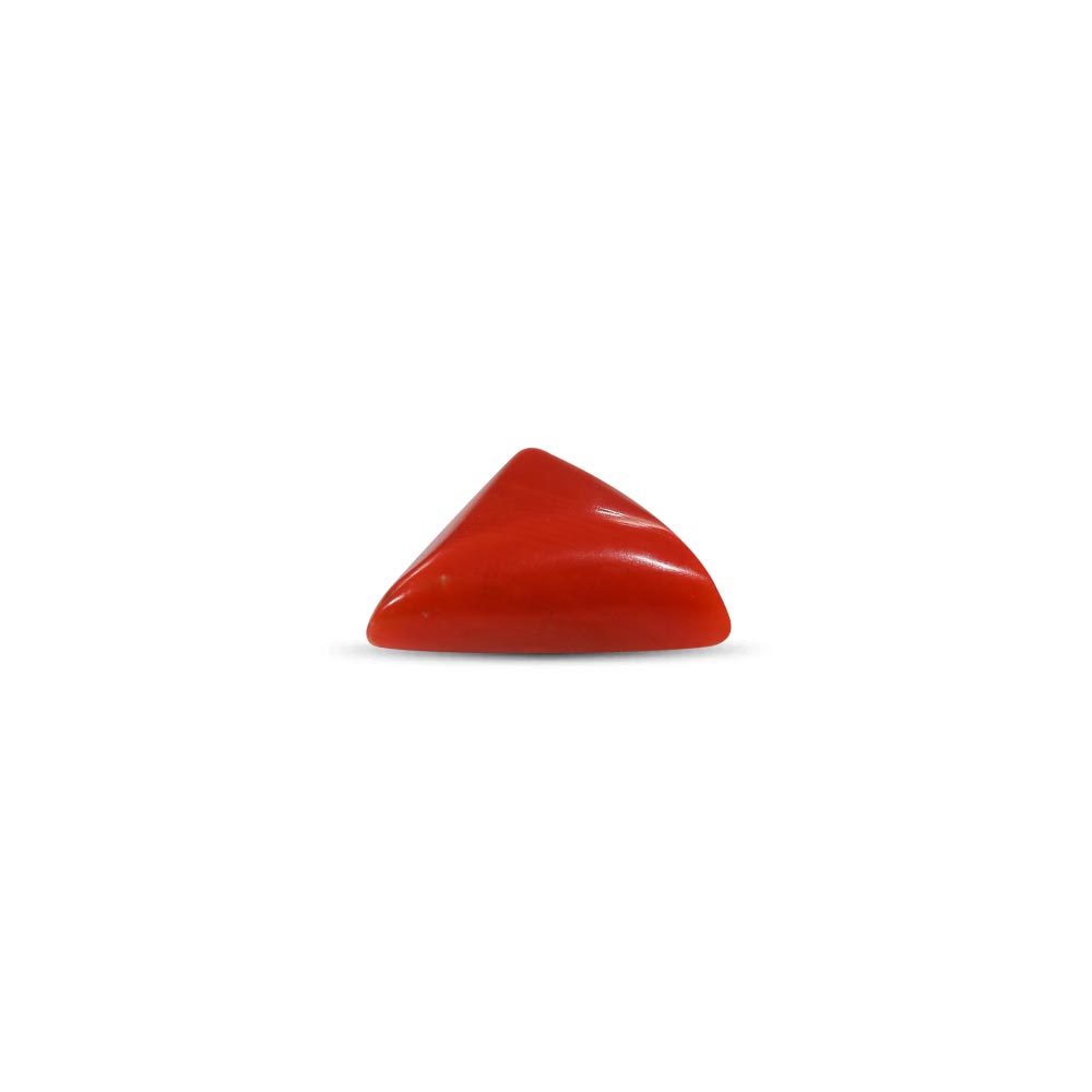 NATURAL RED CORAL(TRIANGLE MOONGA) - 8.00 RATTI