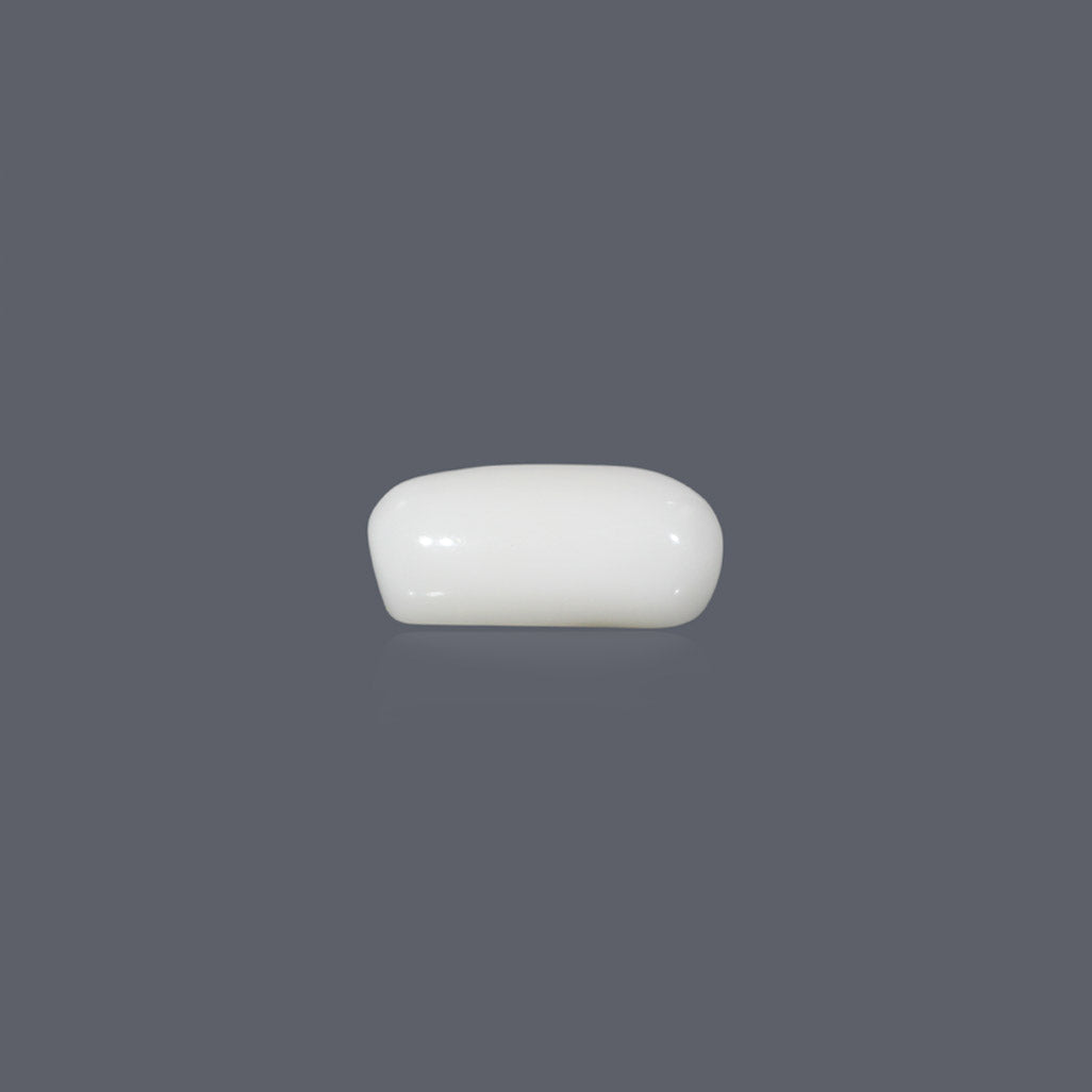 NATURAL WHITE CORAL(SAFED MOONGA) - 8.00 CARATE