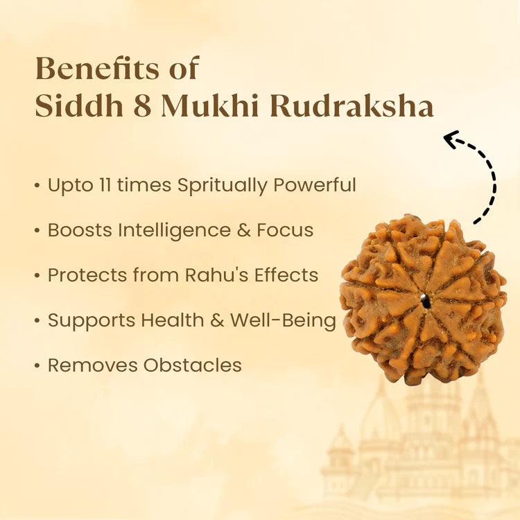 8 MUKHI RUDRAKSHA (NEPALI)