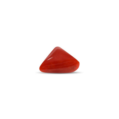 NATURAL RED CORAL(TRIANGLE MOONGA) - 9.25 RATTI