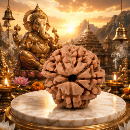 Natural 8 Mukhi Rudraksha (Nepali) for Success & Obstacle Removal