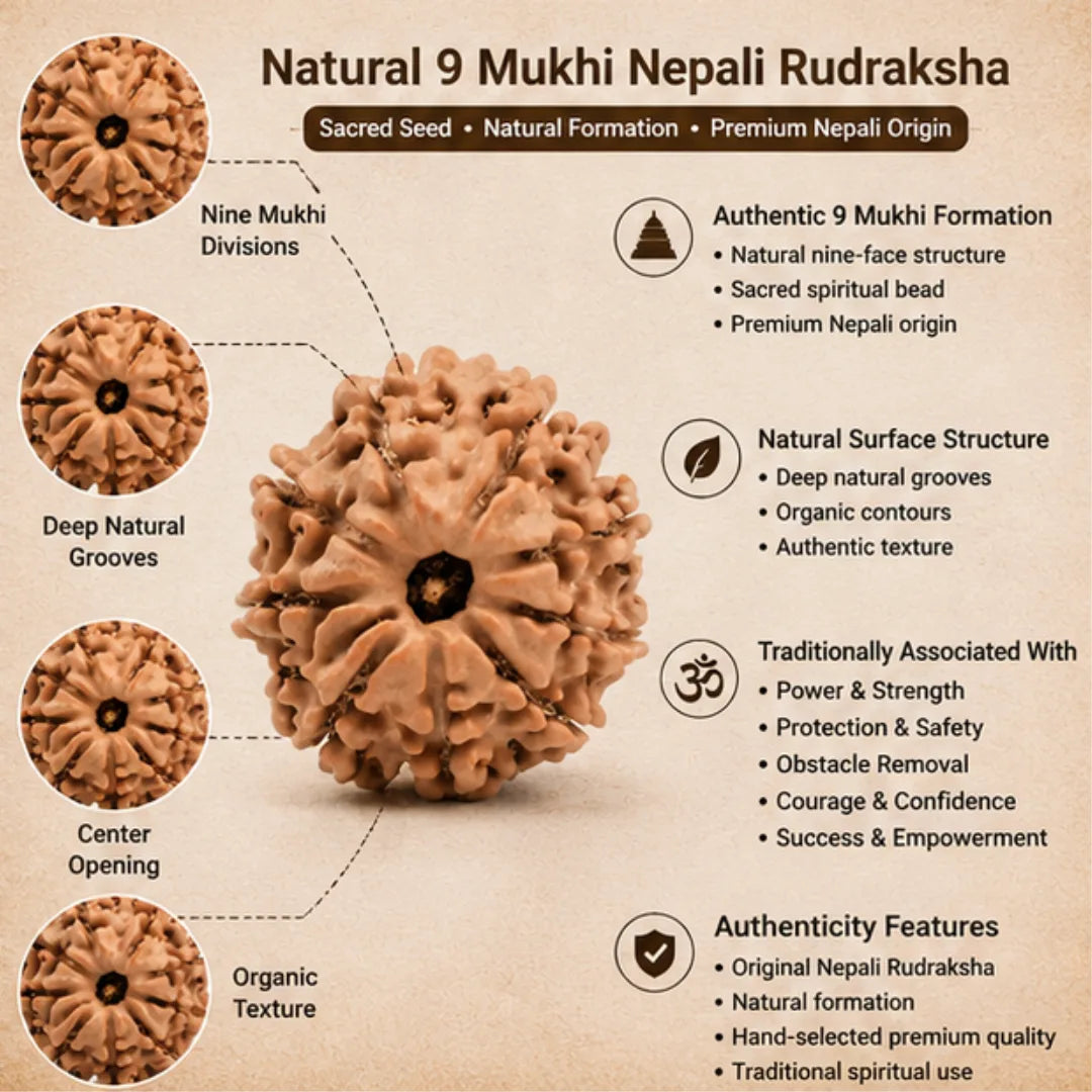 Natural 9 Mukhi Rudraksha (Nepali) for Power & Protection