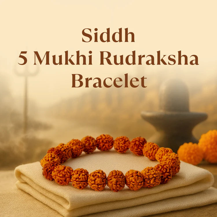 Siddh 5 Mukhi Rudraksha Bracelet