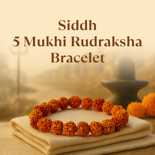 Siddh 5 Mukhi Rudraksha Bracelet