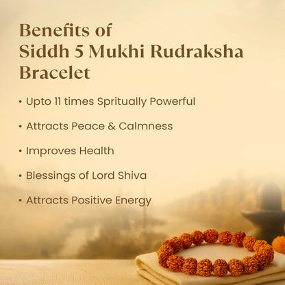 Siddh 5 Mukhi Rudraksha Bracelet