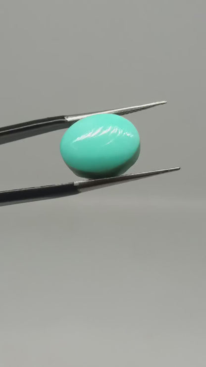NATURAL TURQUOISE(FIROZA) || 10.55 CARATE || LAB CERTIFIED
