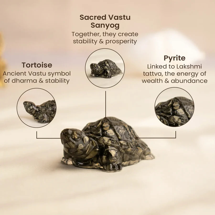 PYRITE TORTOISE (Kachhua) FOR VASTU