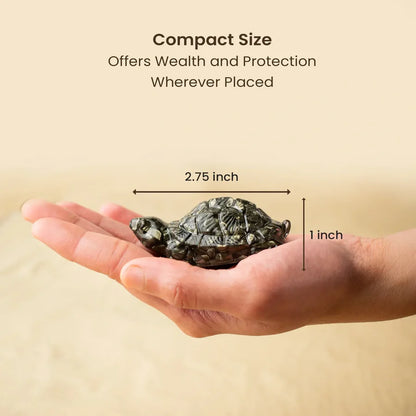 PYRITE TORTOISE (Kachhua) FOR VASTU